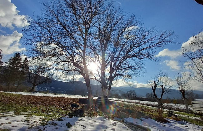 Holiday Home Kim - Foto 28