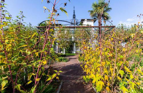 Domaine de Bordaberry - Jardin & superbe piscine - Foto 58