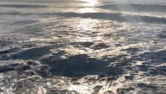 The Shack Inn - Foto 5