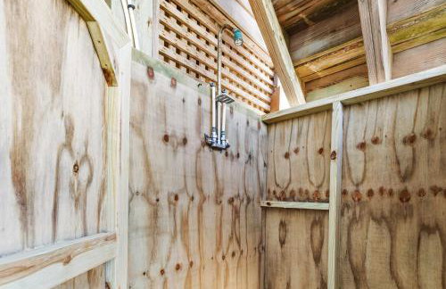 CAC-1 - Angelfish - Photo 38