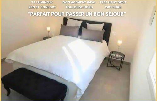 Logement Entier - Appartement T2 Confort - Toulouse - Balcon Aménagé - Foto 2