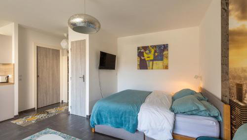 Grand studio bord du lac - Photo 5