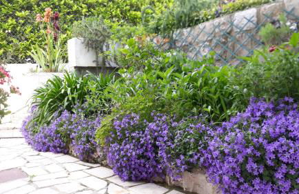 Charmant Horizon - Foto 18