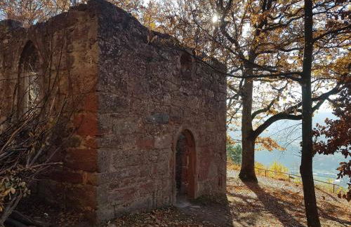 Gästezimmer-Apartment Heidi Hönl - Foto 13