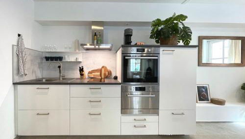 Zentrales Innenstadt Studio mit Garage - Foto 3, stove, dishwasher, pet friendly