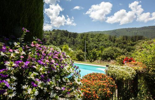 Chez Suzanne - Foto 7