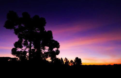 Chalé Romantico a 20km de Curitiba com banheira - Foto 31