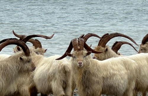 Central Colwyn Bay 2nd Floor Flat 3 - Foto 15