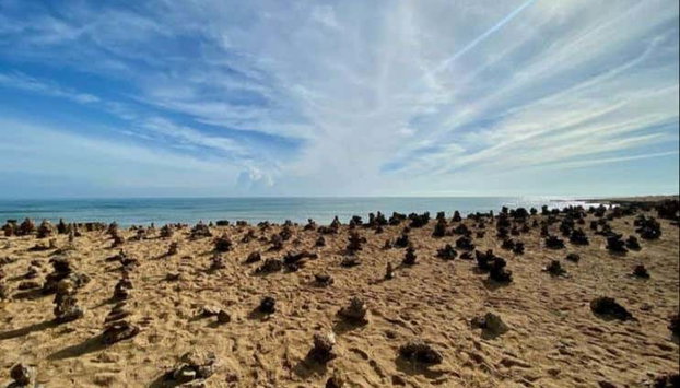 Tour de 7 días por lo mejor de La Guajira - Foto 5, Disfrutando de las vistas en Punta Gallinas