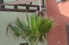 Gîte chez "Mamie Schlop" - Foto 31