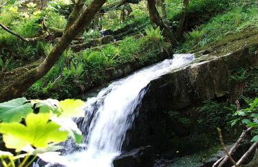 Y Caban at Wig Farm near Llangrannog - Foto 24