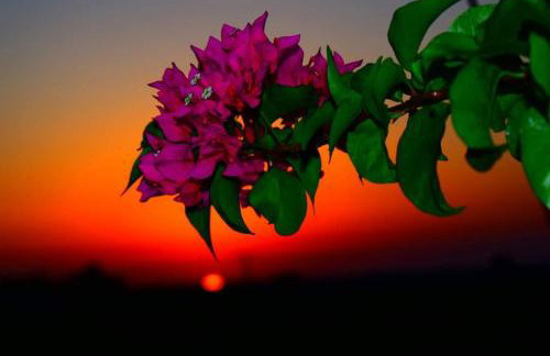 Villa Thea - Foto 10