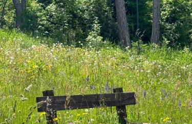 Casa dei Vessi il cuore di Fondo - Photo 37
