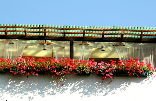 Vintage apartment in the city jungle - Foto 31