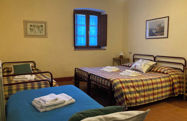 Fattoria Gambaro di Petrognano - Foto 14