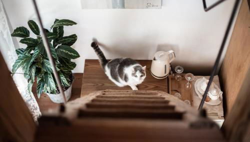 Relais Incanto - Agriturismo Nel Giardino di Fien - Foto 5