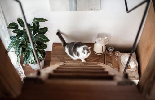 Relais Incanto - Agriturismo Nel Giardino di Fien - Foto 5