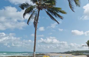 Sobrado do Barão da Barra - Photo 57