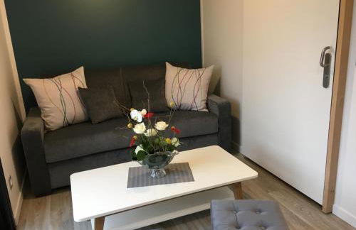 Hibiscus la vallee des noyers - Foto 3