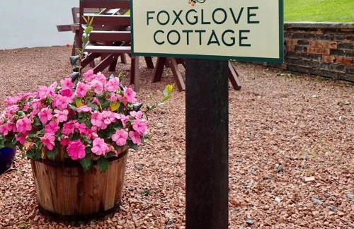 Foxglove Cottage - Photo 8