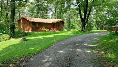 Forest View - Foto 3