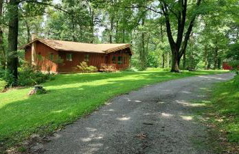 Forest View - Foto 3