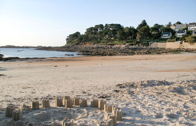 Les Hortensias - Photo 30