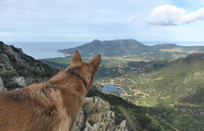 Charming 1-bed Apartment in Iglesias Sardinia - Foto 14