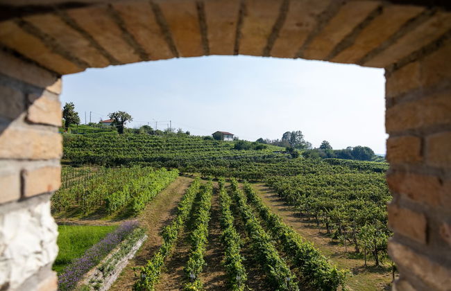 Casa Valdo Country House - Photo 28