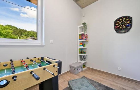 Skitnica House Brulo - Photo 20