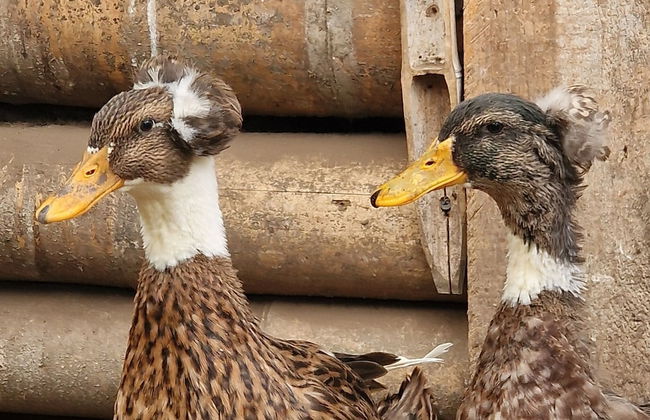 Casa Tien - Photo 78