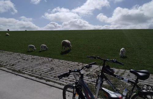 Ferienhaus Hygge4 - Foto 51