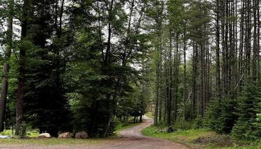 Shiraz House - Foto 4