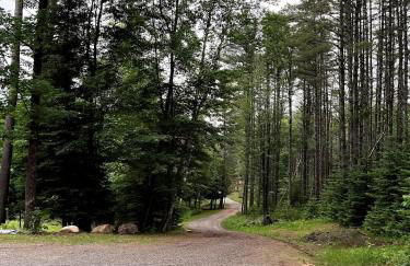 Shiraz House - Foto 4