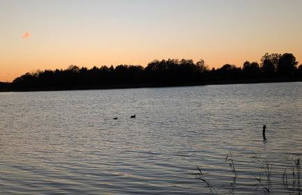 Domek letniskowy Letniczówka - Photo 31