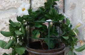 Apartment Marta - Foto 6