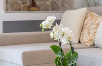 Muca Houses - Foto 68