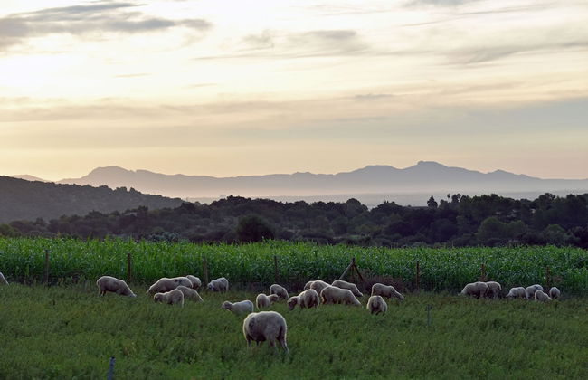 Hotel Monnàber Vell - Foto 42