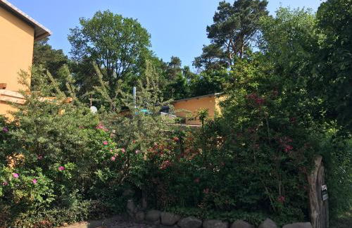 Fewo am Strand in Koserow - Casa del Mar - 42m bis zum Strand - Foto 36