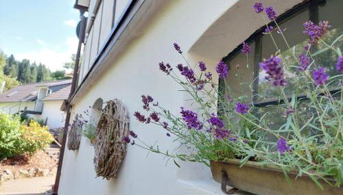 Ferienwohnungen Schneider - Foto 5