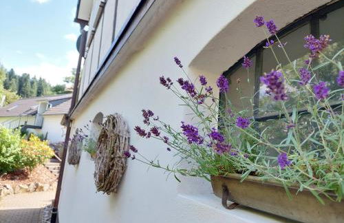 Ferienwohnungen Schneider - Foto 5