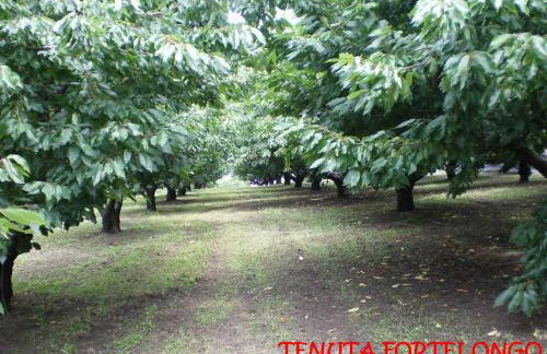 Tenuta Fortelongo - Foto 93