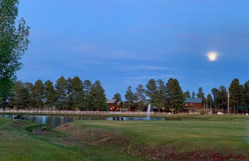 Cabin with Wild Horses, Fireplace, Dog Friendly & StarLink - Foto 30