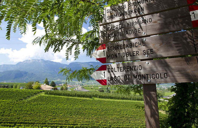 Belia Lofts - ADULTS ONLY - Apartments - Foto 48