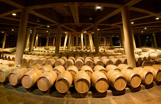 Royal Vineyard (Alava) - Photo 7