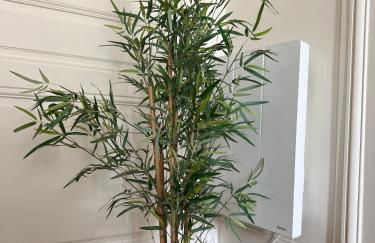 Grand studio lumineux en plein coeur de Versailles - Foto 24