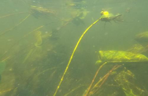 Spreebogenhof - Foto 26