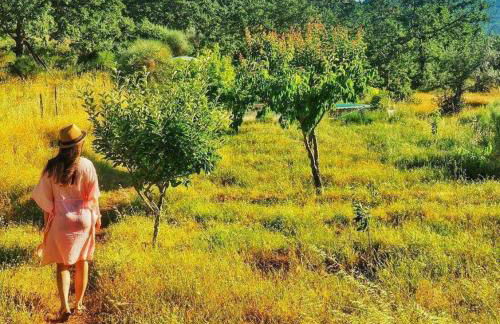 Quinta Do Marvao - Photo 19