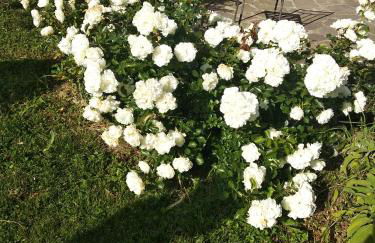 Casa Toscana Mugello - Foto 36