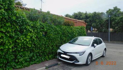 la garrigue - Foto 4